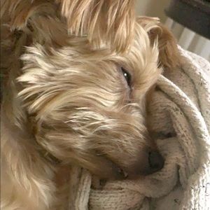 Meet your Posher, Michaela